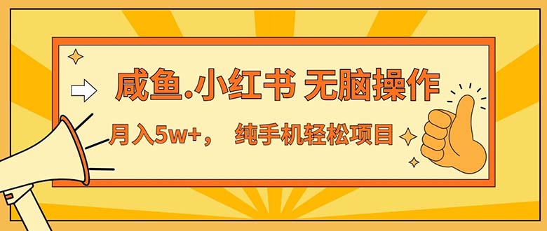 （11524期）2024最赚钱的项目，咸鱼，小红书无脑操作，每单利润500+，轻松月入5万+…-LH资源分享网