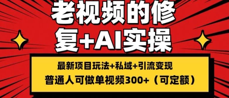 修复老视频的玩法，搬砖+引流的变现(可持久)，单条收益300+【揭秘】-LH资源分享网