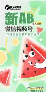 梅花实验室2024年AB技术视频号AB合成破解版-LH资源分享网