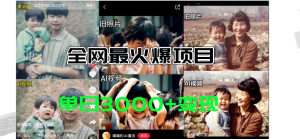 （11546期）全网爆火的AI让老照片动起来教程，蹭热点日赚3000+，内含免费工具一键…-LH资源分享网