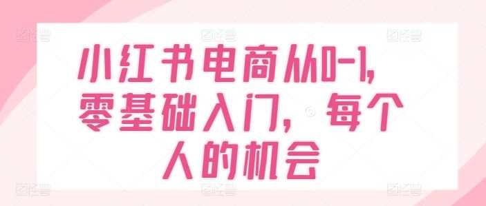 小红书电商从0-1，零基础入门，每个人的机会-LH资源分享网