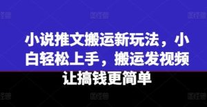 小说推文搬运新玩法，小白轻松上手，搬运发视频让搞钱更简单-LH资源分享网