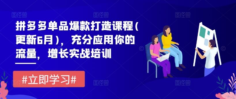 拼多多单品爆款打造课程(更新6月)，充分应用你的流量，增长实战培训-LH资源分享网