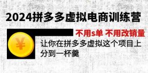 2024拼多多虚拟电商训练营 不用s单 不用改销量 在拼多多虚拟上分到一杯羹-LH资源分享网