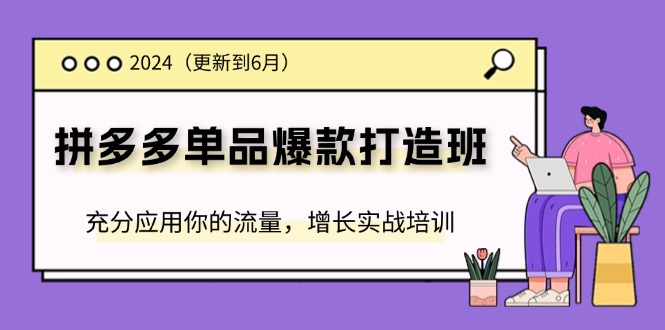 （11556期）2024拼多多-单品爆款打造班(更新6月)，充分应用你的流量，增长实战培训-LH资源分享网