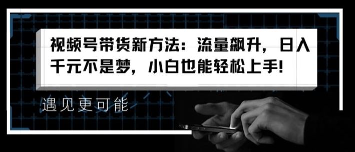 视频号带货新方法：流量飙升，日入千元不是梦，小白也能轻松上手【揭秘】-LH资源分享网