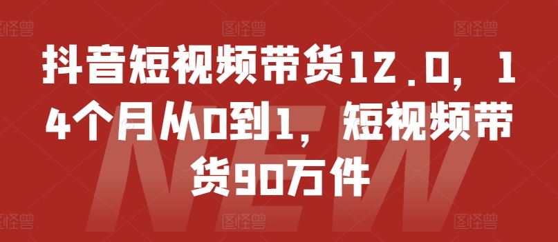 抖音短视频带货12.0，14个月从0到1，短视频带货90万件-LH资源分享网