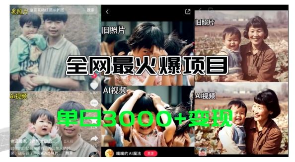 全网爆火的AI让老照片动起来教程，蹭热点日赚3k+，内含免费工具一键可生成【揭秘】-LH资源分享网