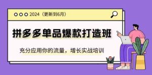 2024拼多多单品爆款打造班，充分应用你的流量，增长实战培训(更新6月)-LH资源分享网