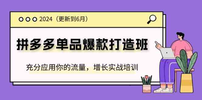 2024拼多多单品爆款打造班，充分应用你的流量，增长实战培训(更新6月)-LH资源分享网
