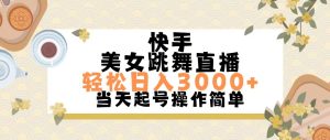 （11565期）快手美女跳舞直播，轻松日入3000+简单无脑-LH资源分享网
