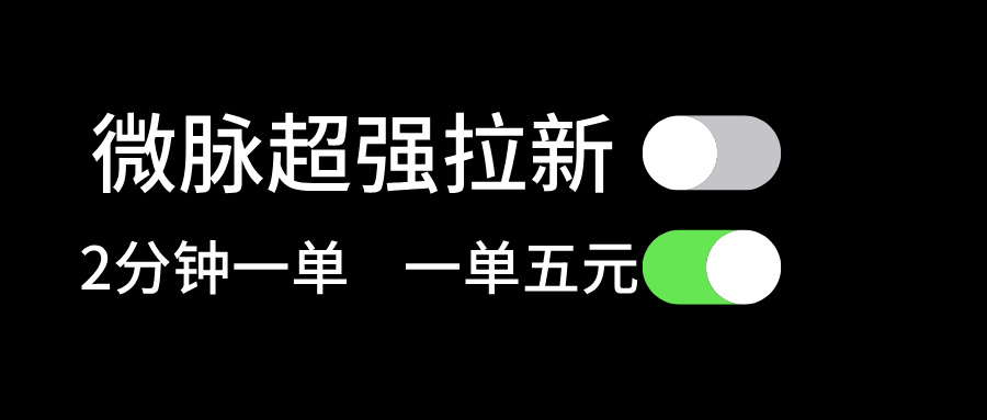 （11580期）微脉超强拉新， 两分钟1单， 一单利润5块，适合小白-LH资源分享网