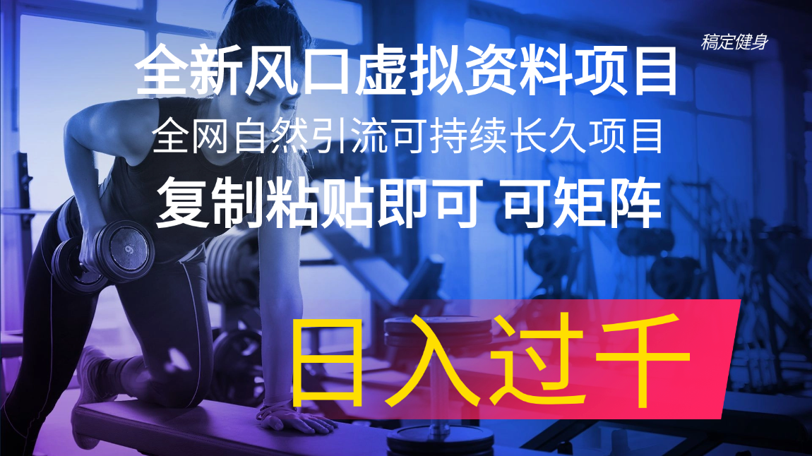 （11587期）全新风口虚拟资料项目 全网自然引流可持续长久项目 复制粘贴即可可矩阵…-LH资源分享网