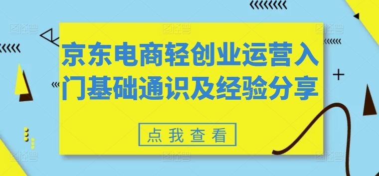 京东电商轻创业运营入门基础通识及经验分享-LH资源分享网