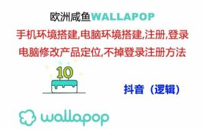 wallapop整套详细闭环流程：最稳定封号率低的一个操作账号的办法-LH资源分享网