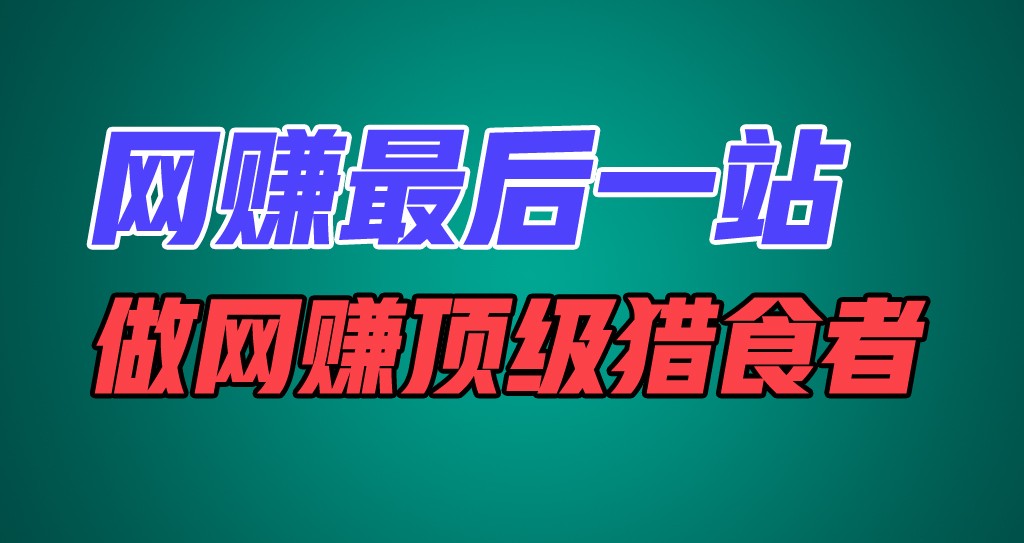 网赚最后一站，卖项目，做网赚顶级猎食者-LH资源分享网