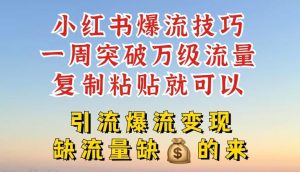小红书爆流技巧，一周突破万级流量，复制粘贴就可以，引流爆流变现【揭秘】-LH资源分享网