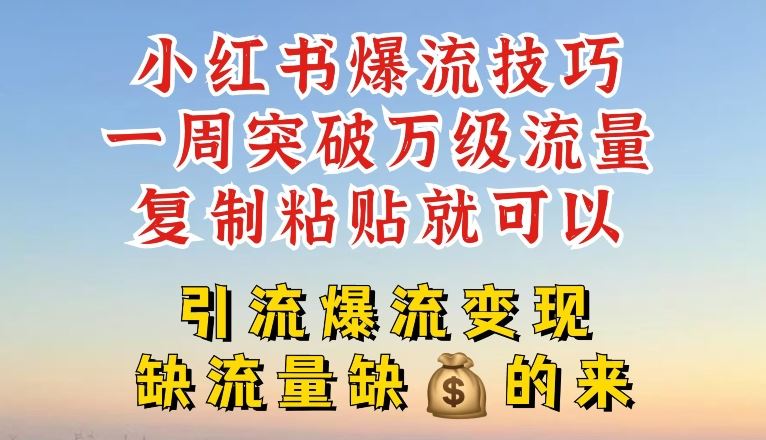 小红书爆流技巧，一周突破万级流量，复制粘贴就可以，引流爆流变现【揭秘】-LH资源分享网