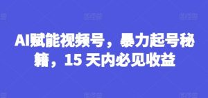 AI赋能视频号，暴力起号秘籍，15 天内必见收益【揭秘】-LH资源分享网