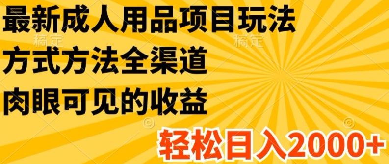 最新成人用品项目玩法，方式方法全渠道，轻松日入2K+【揭秘】-LH资源分享网