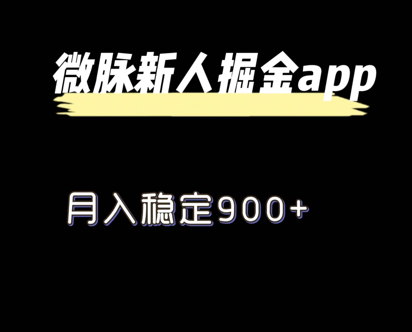 最新微脉长久项目，拉新掘金，月入稳定900+-LH资源分享网