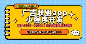 (11645期)小程序开发 广告赚钱 日入500~1000+ 小白轻松上手!-LH资源分享网