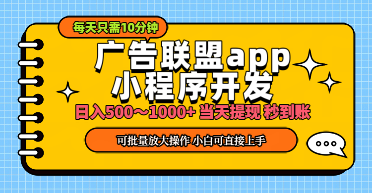 （11645期）小程序开发 广告赚钱 日入500~1000+ 小白轻松上手！-LH资源分享网