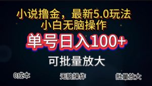 （11651期）全自动小说撸金，单号日入100+小白轻松上手，无脑操作-LH资源分享网