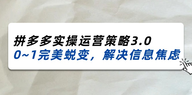 （11658期）2024_2025拼多多实操运营策略3.0，0~1完美蜕变，解决信息焦虑（38节）-LH资源分享网