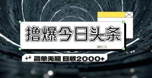 （11665期）撸爆今日头条 简单无脑操作 日收2000+-LH资源分享网