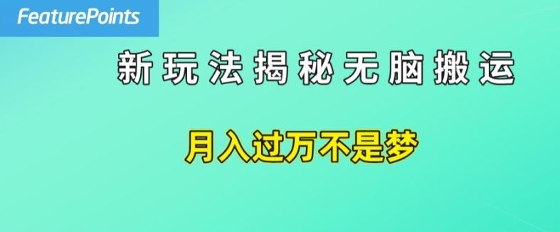 简单操作，每天50美元收入，搬运就是赚钱的秘诀【揭秘】-LH资源分享网