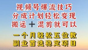 视频号爆流技巧,分成计划轻松变现,搬运 +混剪就可以,一个月轻松五位数稳定项目【揭秘】-LH资源分享网