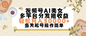 （11684期）视频号AI美女，轻松月入30000+,操作简单轻松上手-LH资源分享网