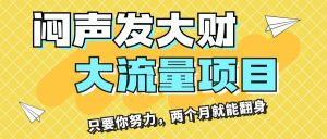 （11688期）闷声发大财，大流量项目，月收益过3万，只要你努力，两个月就能翻身-LH资源分享网