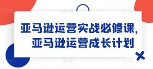 亚马逊运营实战必修课，亚马逊运营成长计划-LH资源分享网