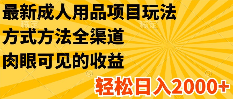 最新成人用品项目玩法，方式方法全渠道，肉眼可见的收益，轻松日入2000+-LH资源分享网