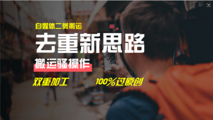 去重新思路,详细教你自媒体视频二剪搬运技术,自己加工双重去重100%过原创-LH资源分享网