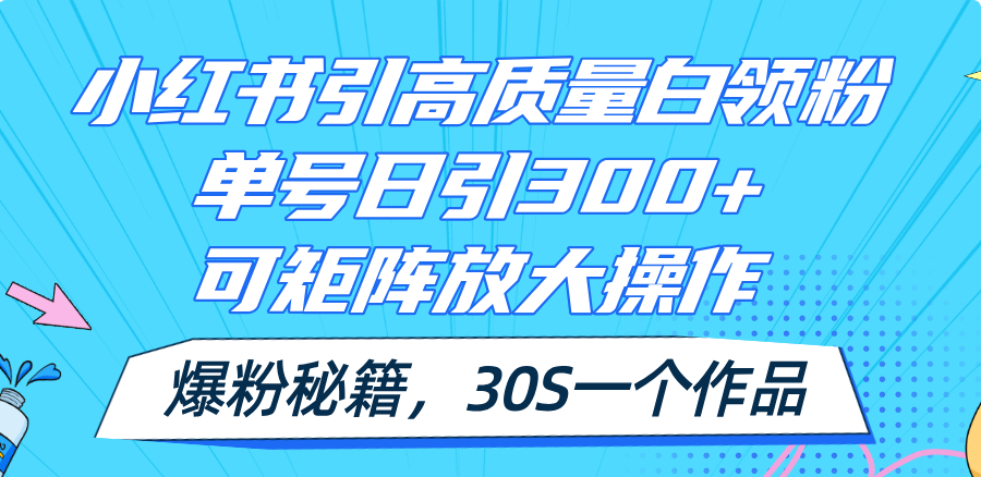 （11692期）小红书引高质量白领粉，单号日引300+，可放大操作，爆粉秘籍！30s一个作品-LH资源分享网