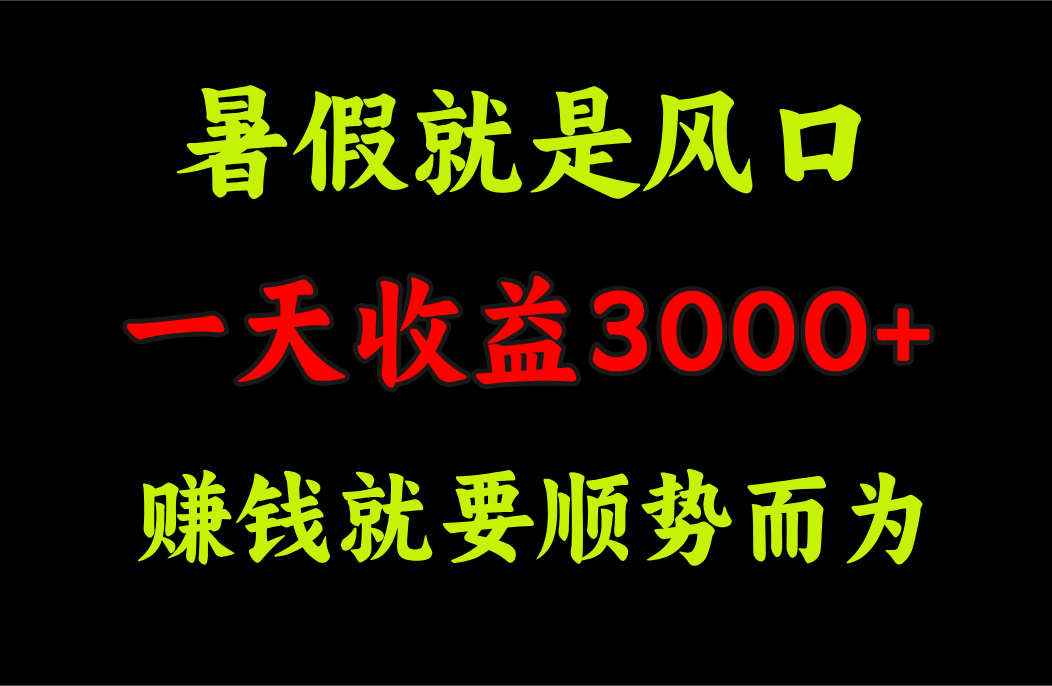 （11670期）一天收益3000+ 赚钱就是顺势而为，暑假就是风口-LH资源分享网