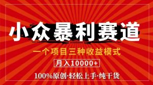 (11695期)视频号【中老年粉深信不疑】小众赛道 100%原创 手把手教学 新号3天收益…-LH资源分享网