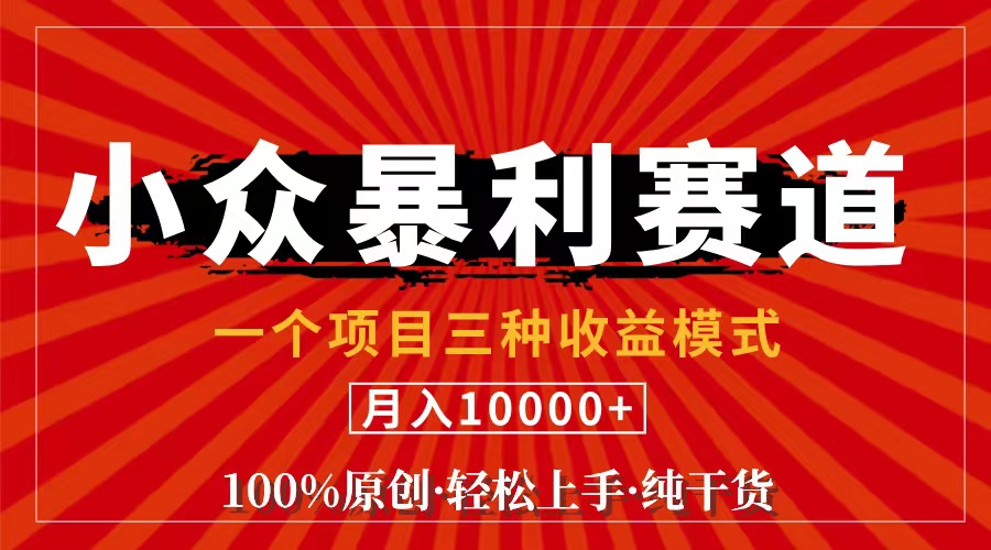 （11695期）视频号【中老年粉深信不疑】小众赛道 100%原创 手把手教学 新号3天收益…-LH资源分享网