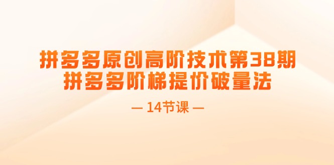 （11704期）拼多多原创高阶技术第38期，拼多多阶梯提价破量法（14节课）-LH资源分享网