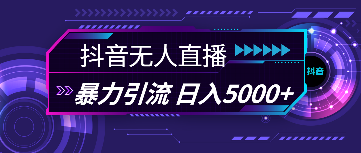 （11709期）抖音无人直播，暴利引流，日入5000+-LH资源分享网