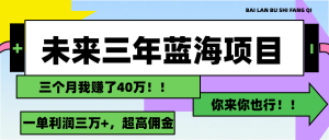 （11716期）未来三年，蓝海赛道，月入3万+-LH资源分享网