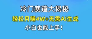 冷门赛道大揭秘,轻松月赚1W+无需AI生成,小白也能上手【揭秘】-LH资源分享网
