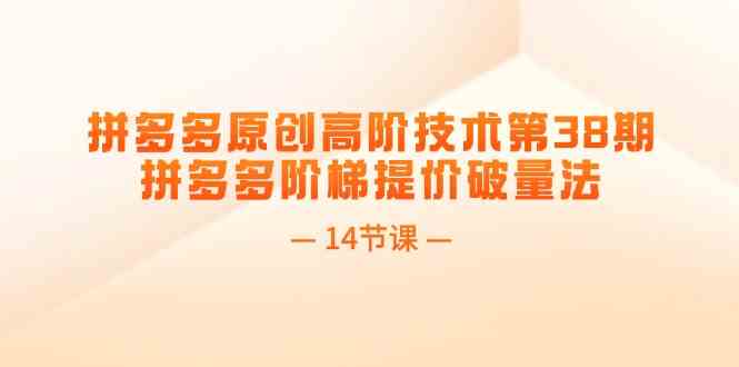 拼多多原创高阶技术第38期，拼多多阶梯提价破量法（14节课）-LH资源分享网