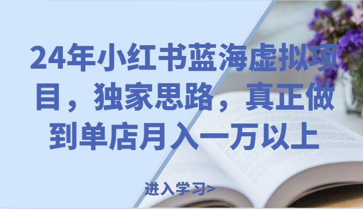 24年小红书蓝海虚拟项目，独家思路，真正做到单店月入一万以上。-LH资源分享网