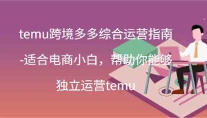 temu跨境多多综合运营指南-适合电商小白，帮助你能够独立运营temu(44节)-LH资源分享网