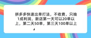 （11681期）拼多多2天起店，只合作不卖课不收费，上架产品无偿对接，只需要你回…-LH资源分享网