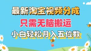 （11744期）最新淘宝视频分成，只需无脑搬运，小白也能轻松月入五位数，可矩阵批量…-LH资源分享网